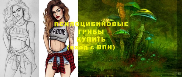 молекула духа Алексеевка