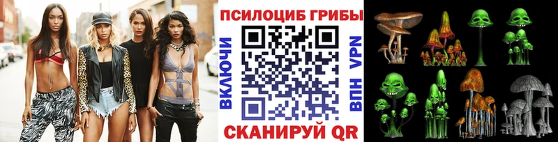 где найти   Воткинск  Псилоцибиновые грибы GOLDEN TEACHER 