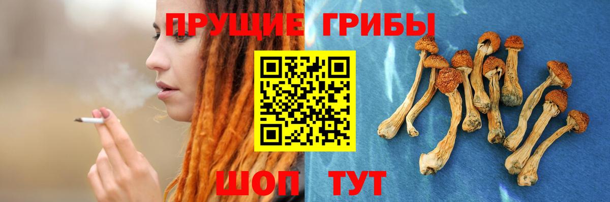 Галлюциногенные грибы мицелий  Вход с VPN  что такое наркотик  Воткинск  Псилоцибиновые грибы GOLDEN TEACHER 
